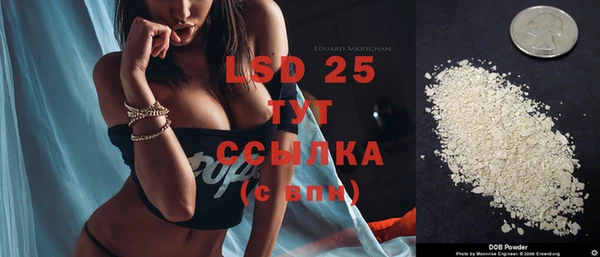 PSILOCYBIN Верея