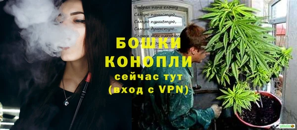 PSILOCYBIN Верея